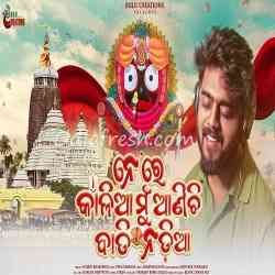 Ne Re Kalia Mu Anichi Badi Nadia